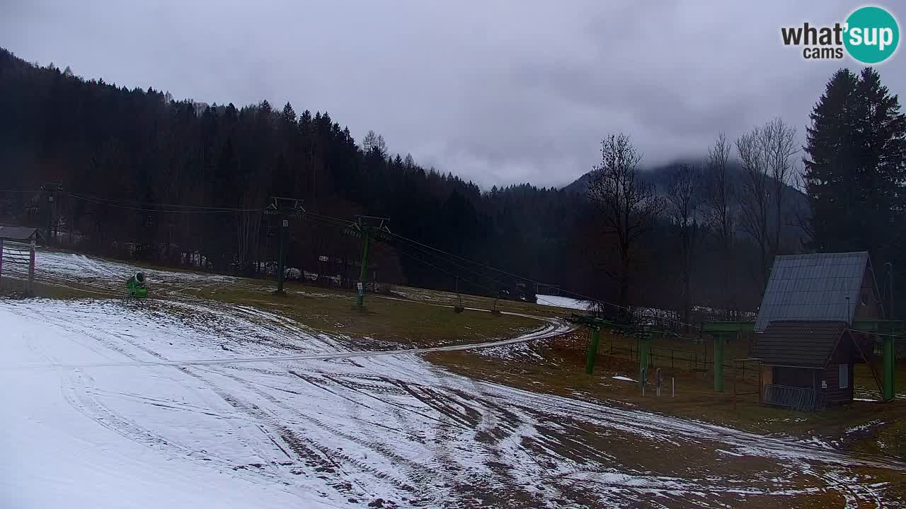 RTC Kranjska Gora | Velika Dolina