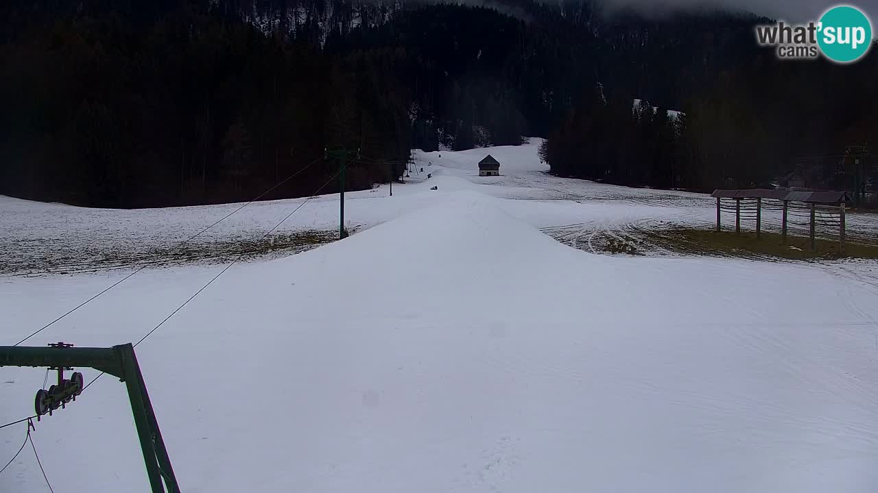 Ski Kranjska Gora | Velika Dolina