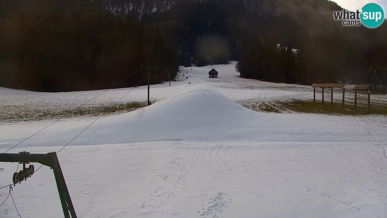 Estación de esquí Kranjska Gora | Velika Dolina