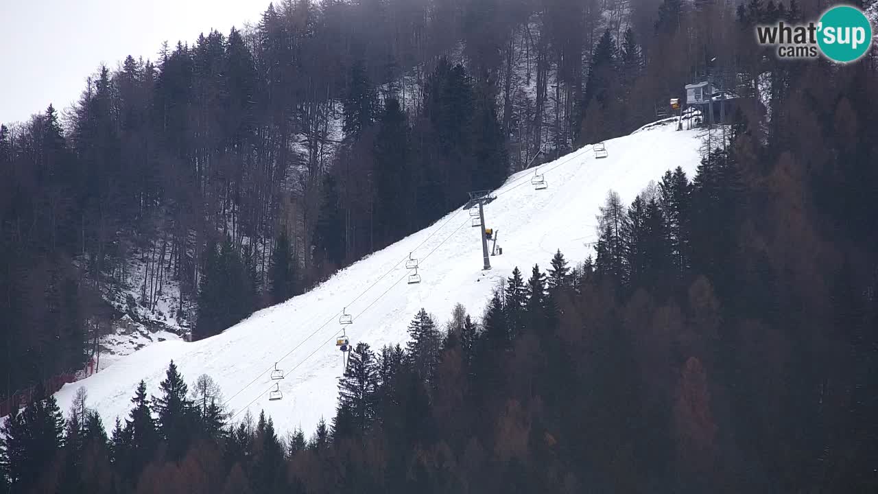 RTC Kranjska Gora | Velika Dolina
