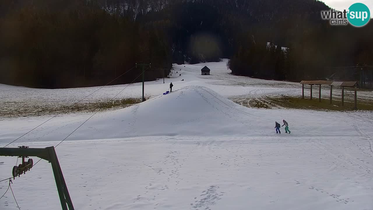 Ski Kranjska Gora | Velika Dolina