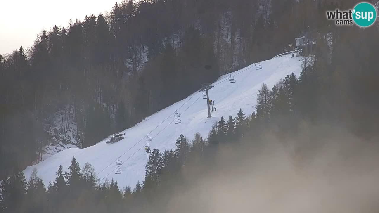 Ski Kranjska Gora | Velika Dolina