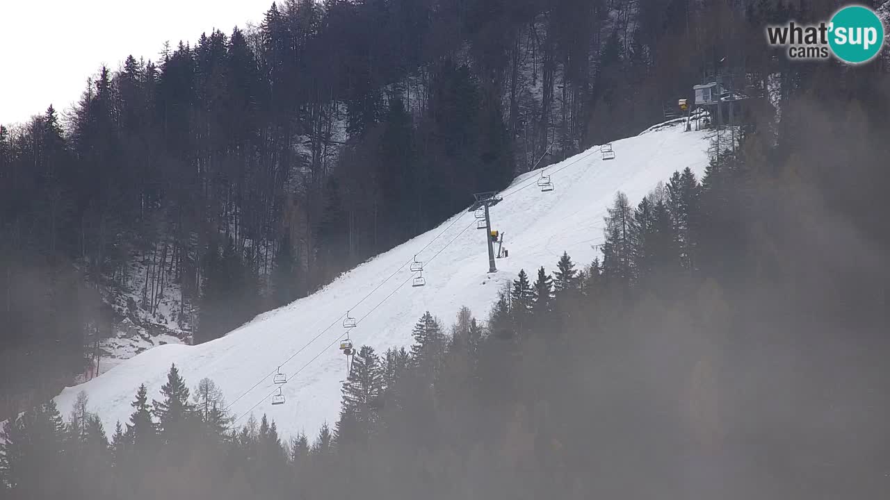 Station de ski Kranjska Gora | Velika Dolina