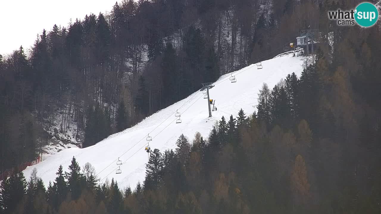 Kranjska Gora | Velika Dolina