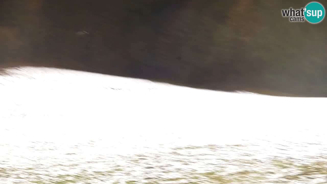 RTC Kranjska Gora | Velika Dolina