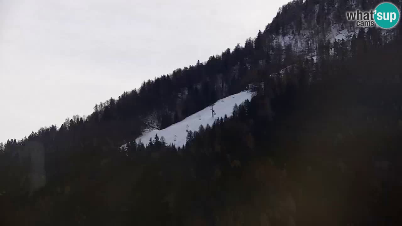 Ski Kranjska Gora | Velika Dolina