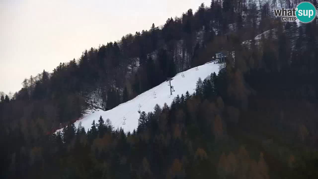 Estación de esquí Kranjska Gora | Velika Dolina