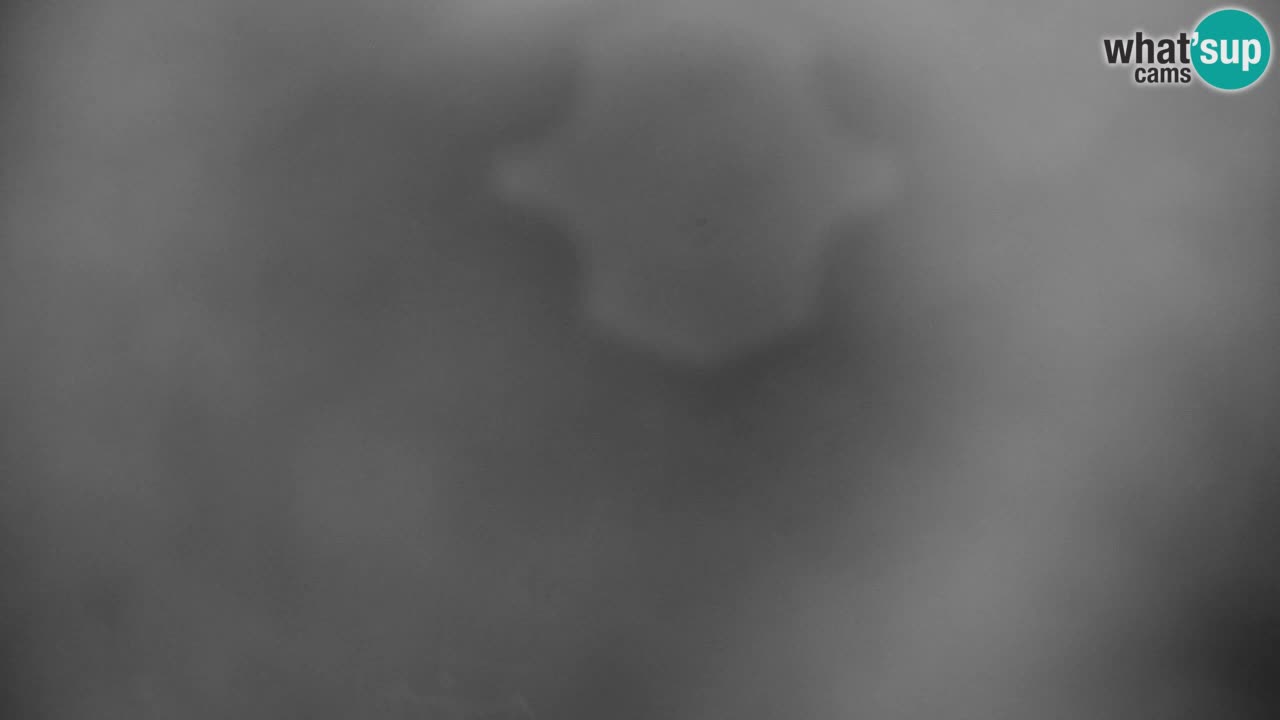 Skigebiet Kranjska Gora | Velika Dolina