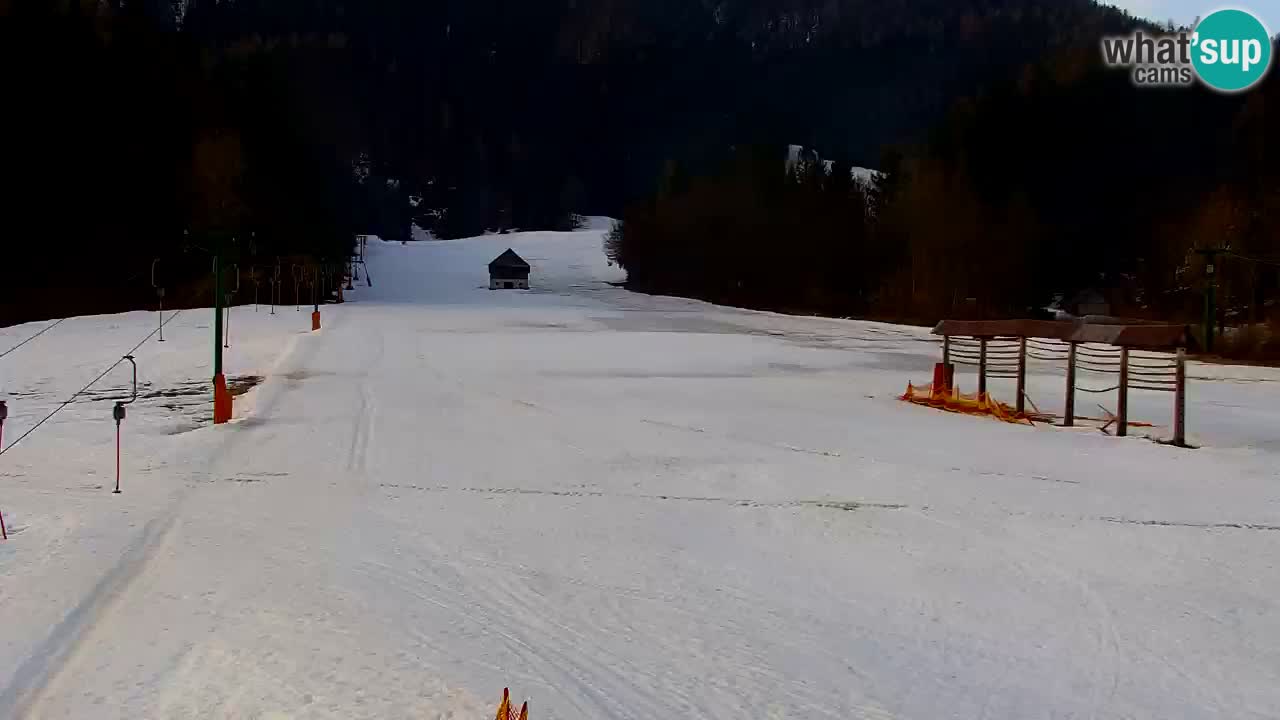 Skijanje Kranjska Gora | Velika Dolina