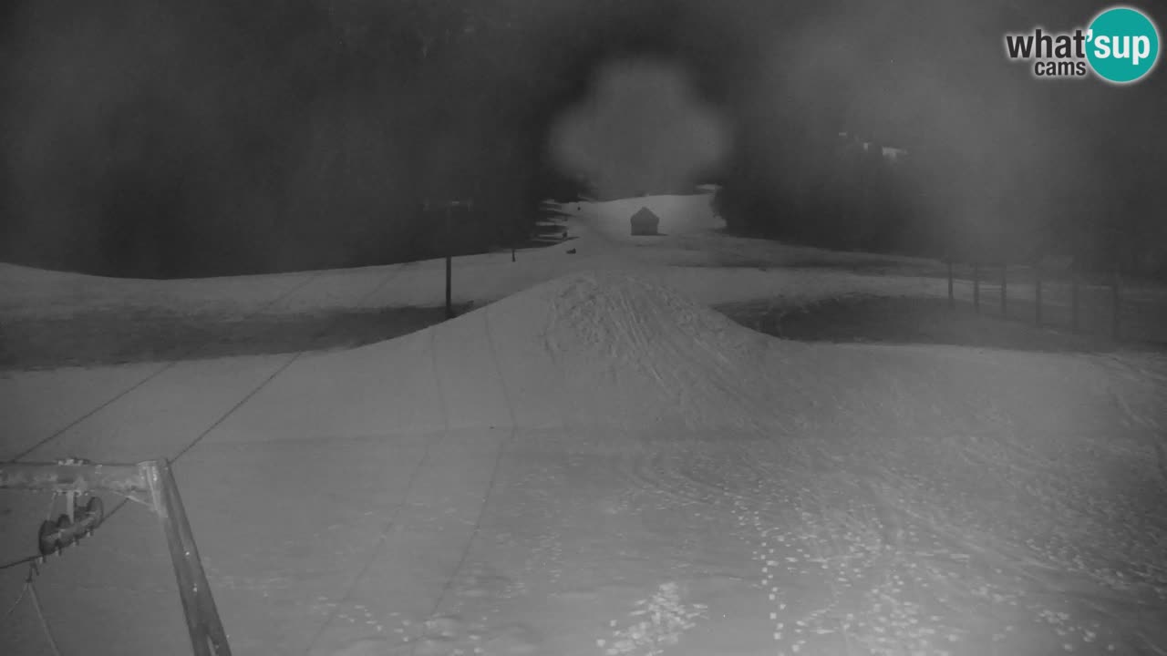 Ski Kranjska Gora | Velika Dolina