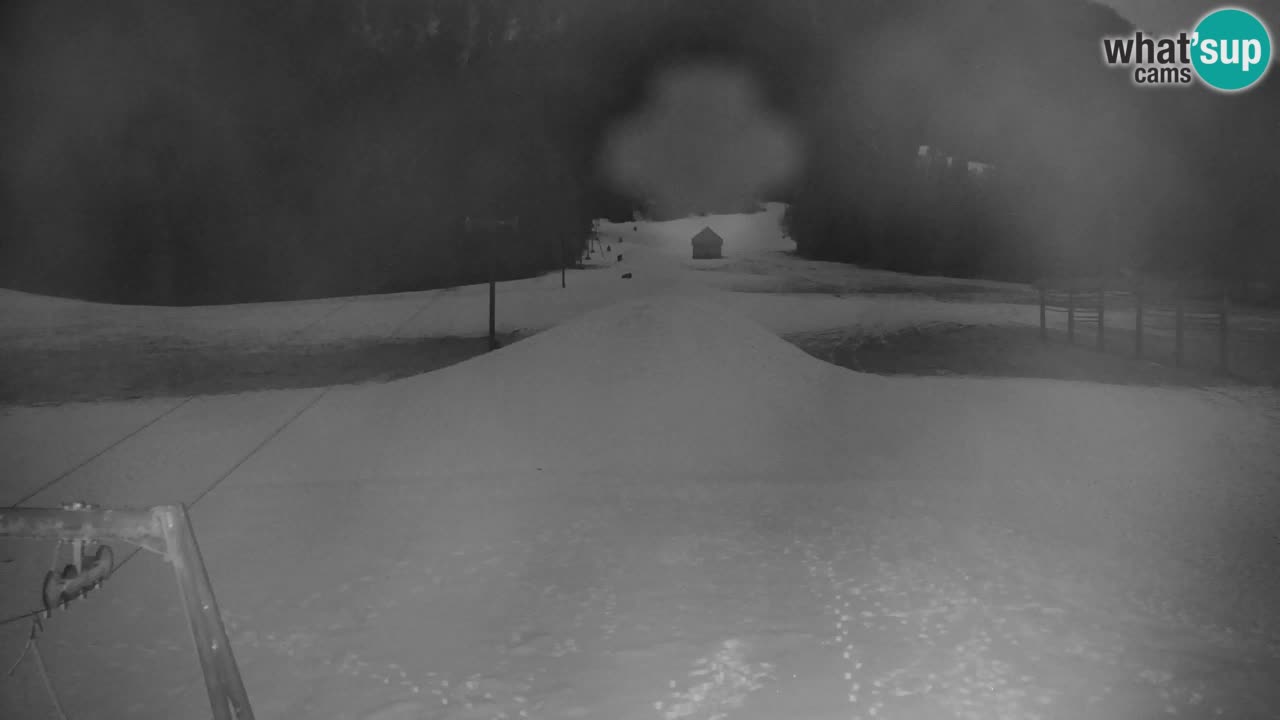 Skigebiet Kranjska Gora | Velika Dolina