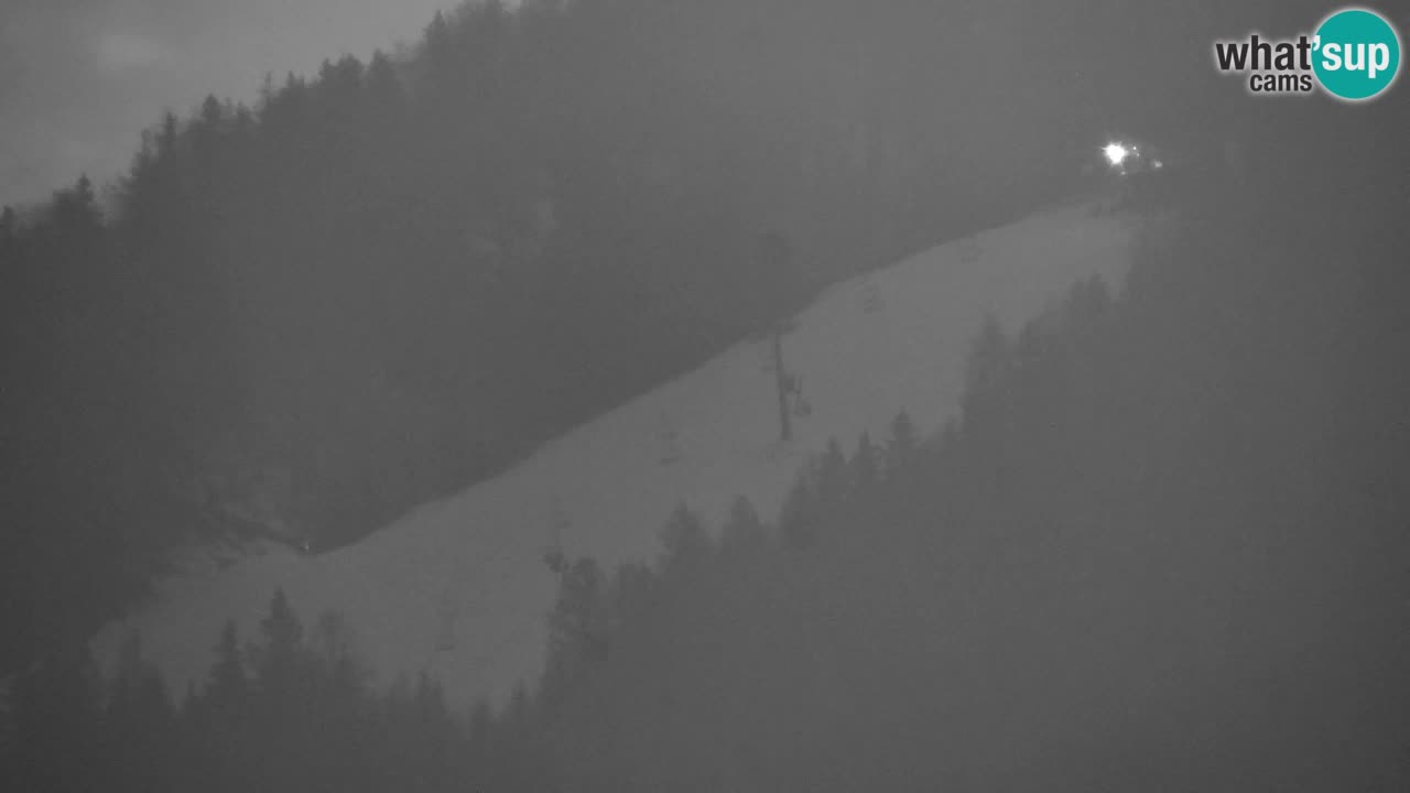 Skigebiet Kranjska Gora | Velika Dolina