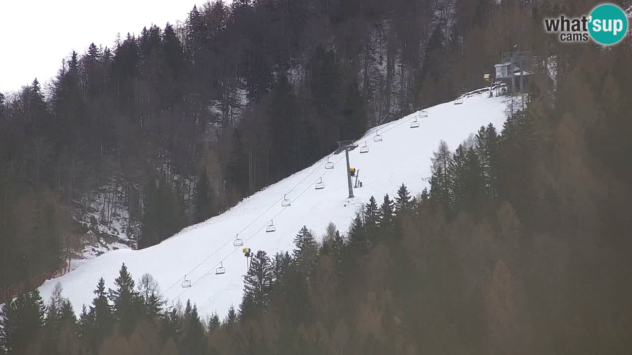 Station de ski Kranjska Gora | Velika Dolina