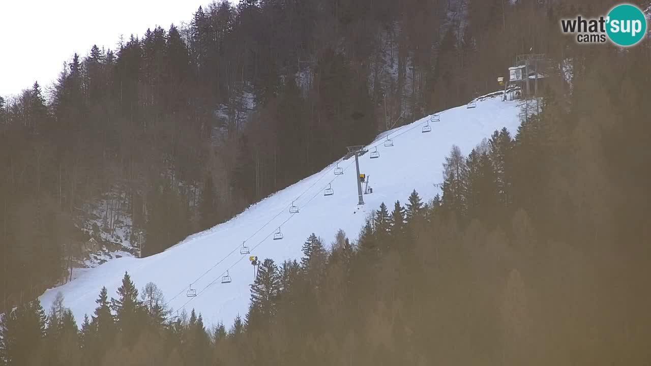 Kranjska Gora | Velika Dolina