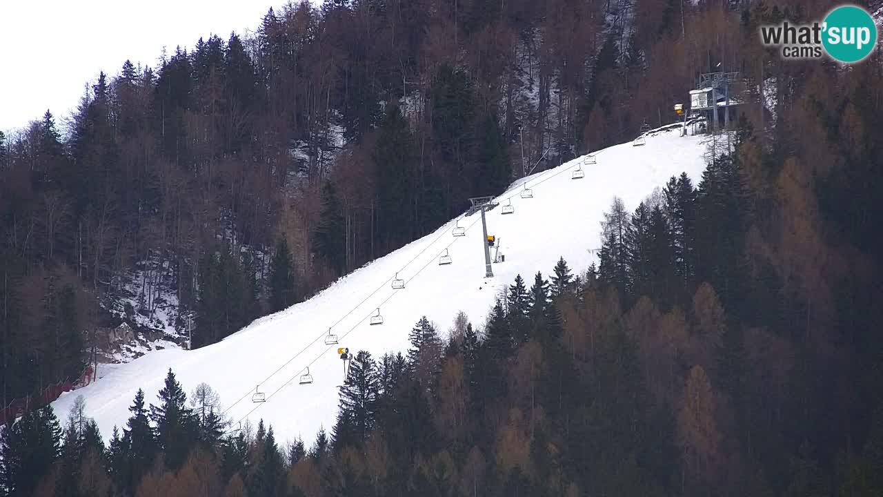 Ski Kranjska Gora | Velika Dolina