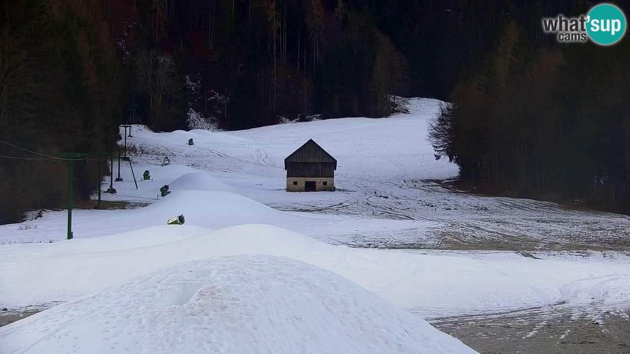 Skigebiet Kranjska Gora | Velika Dolina