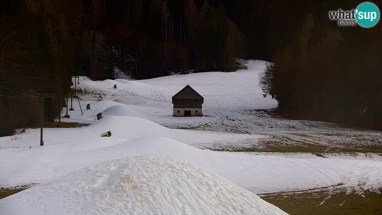 Estación de esquí Kranjska Gora | Velika Dolina