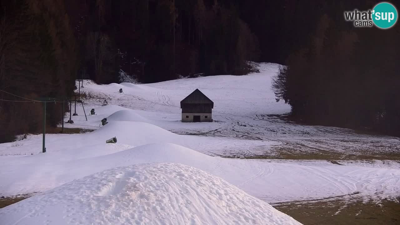 Ski Kranjska Gora | Velika Dolina