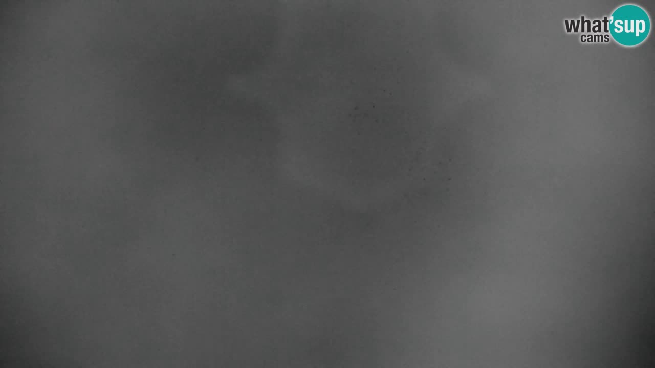 Ski Kranjska Gora | Velika Dolina