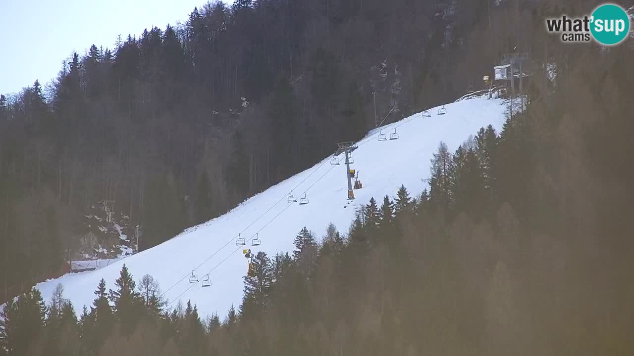Ski Kranjska Gora | Velika Dolina