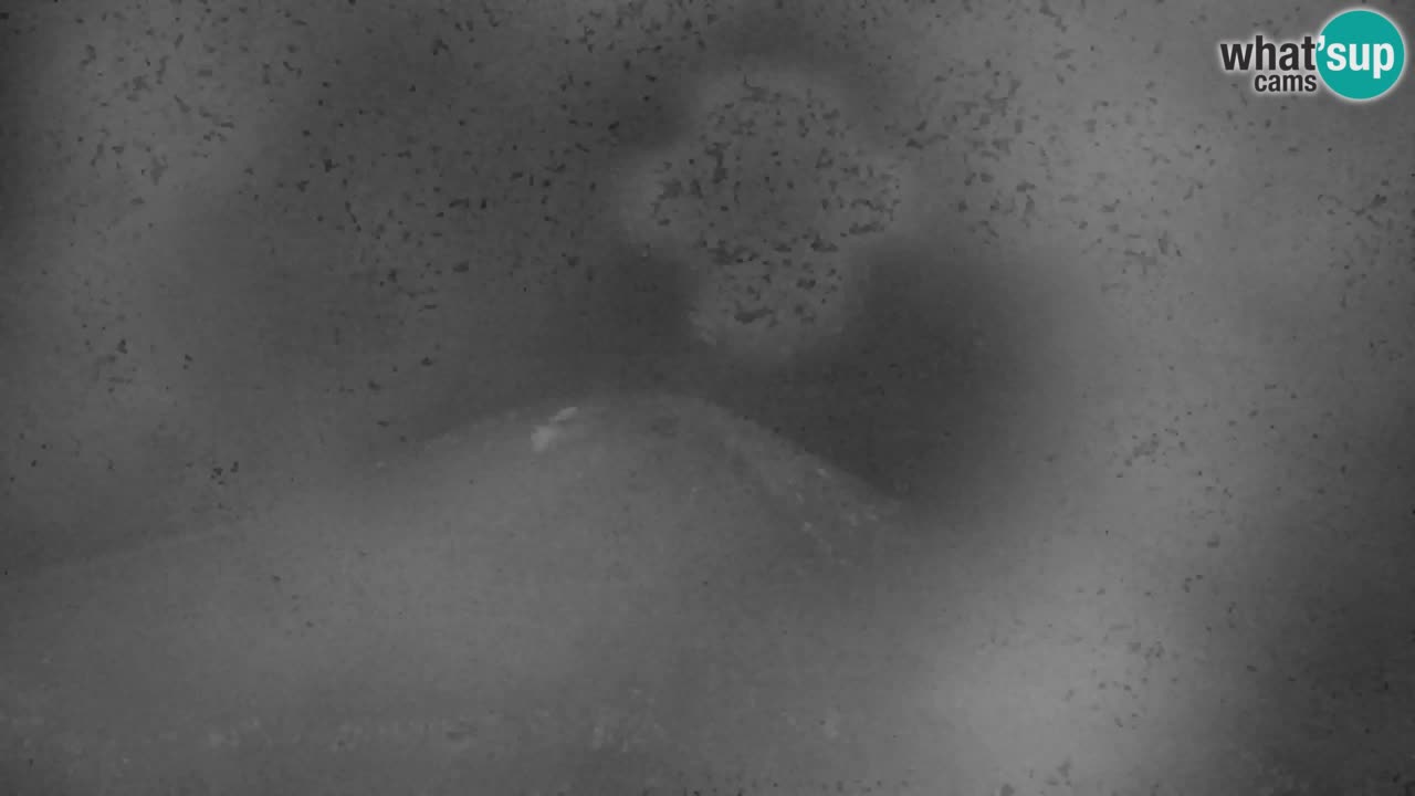 Skijanje Kranjska Gora | Velika Dolina