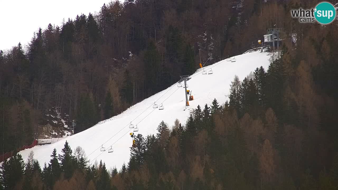 Ski Kranjska Gora | Velika Dolina