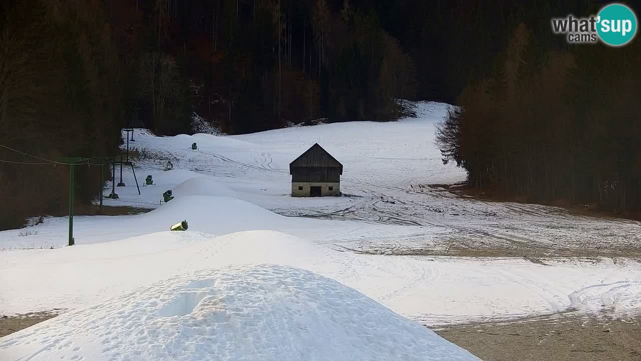 Skigebiet Kranjska Gora | Velika Dolina