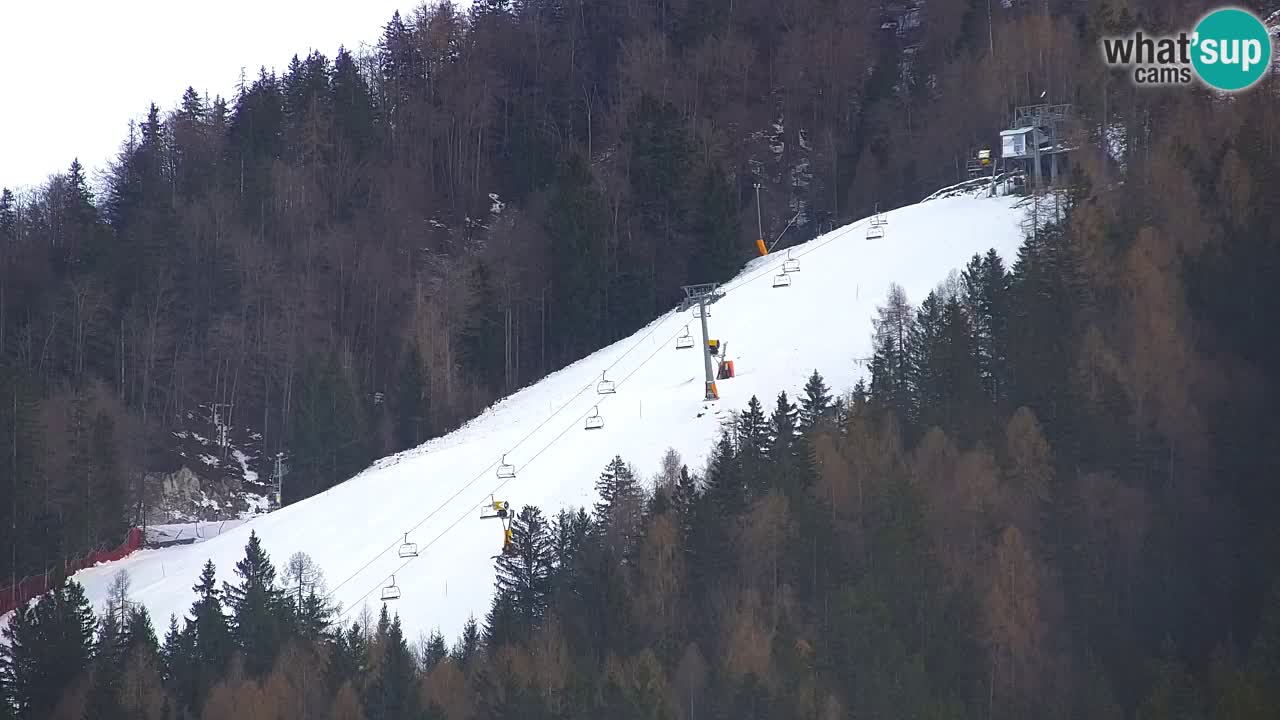 RTC Kranjska Gora | Velika Dolina