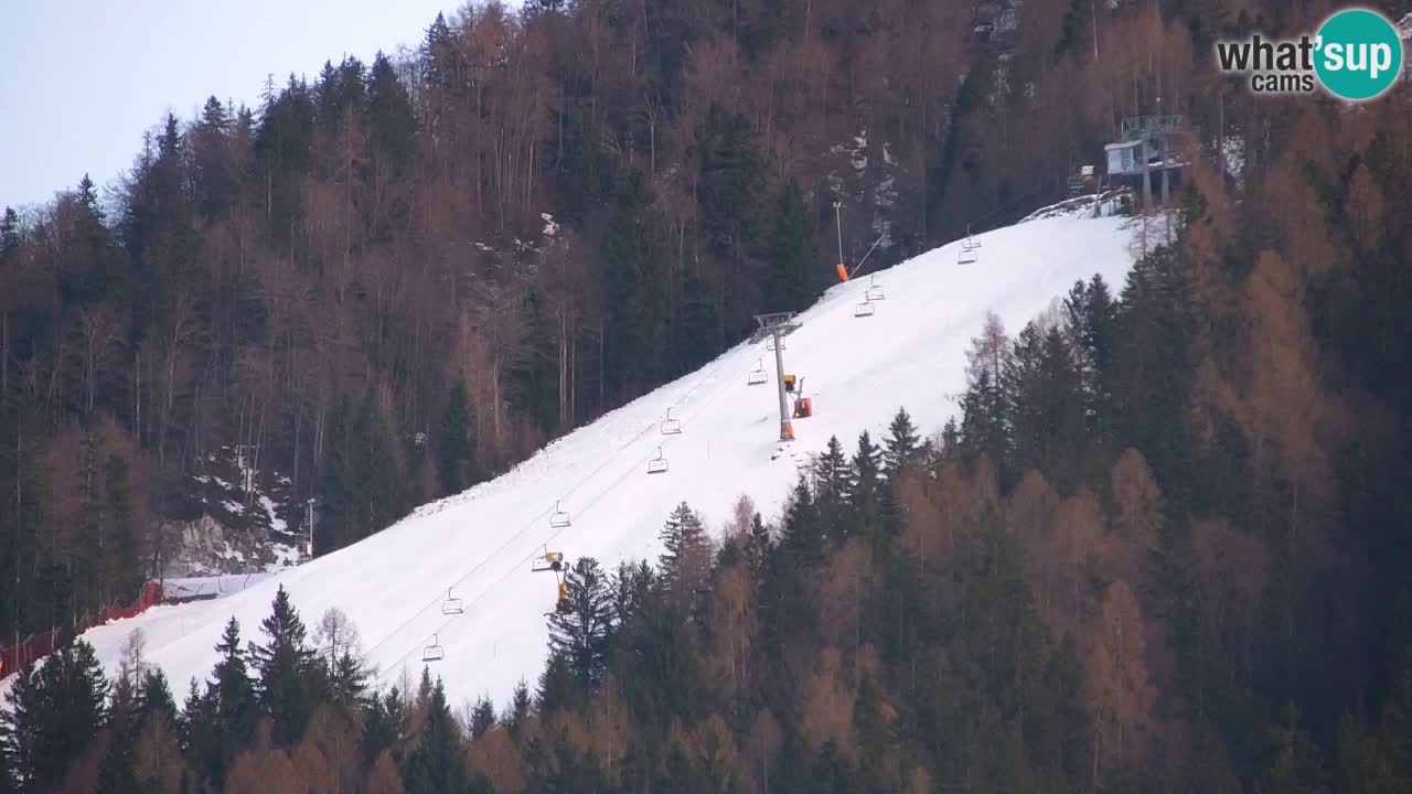 Station de ski Kranjska Gora | Velika Dolina