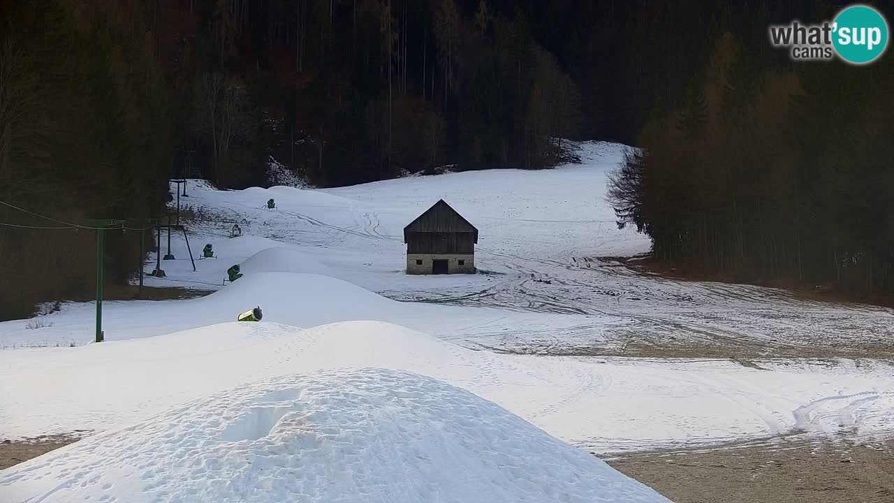 Skigebiet Kranjska Gora | Velika Dolina