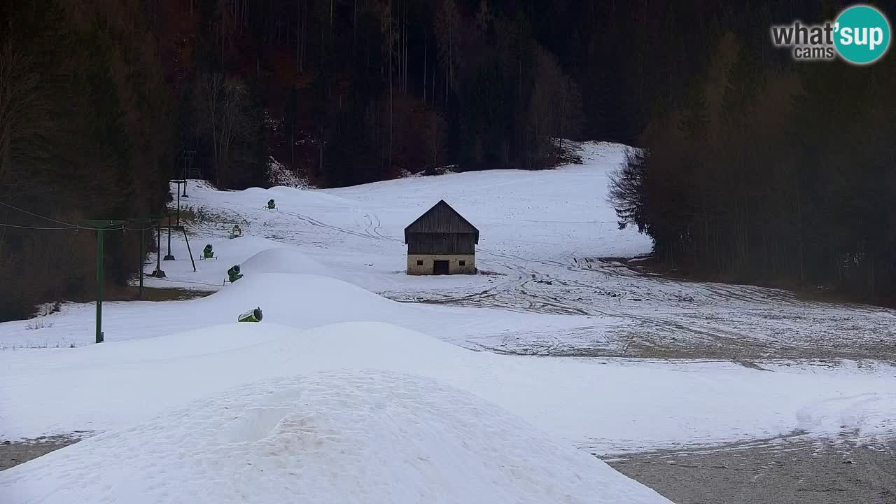 Estación de esquí Kranjska Gora | Velika Dolina