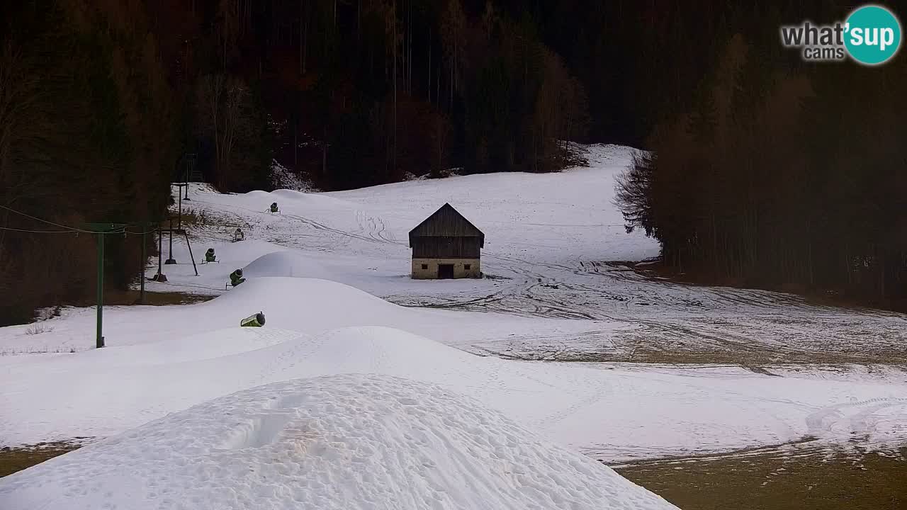 Skigebiet Kranjska Gora | Velika Dolina