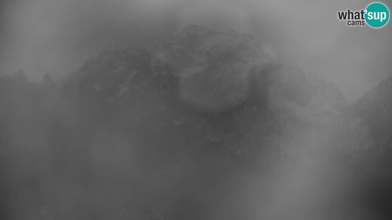 Estación de esquí Kranjska Gora | Velika Dolina