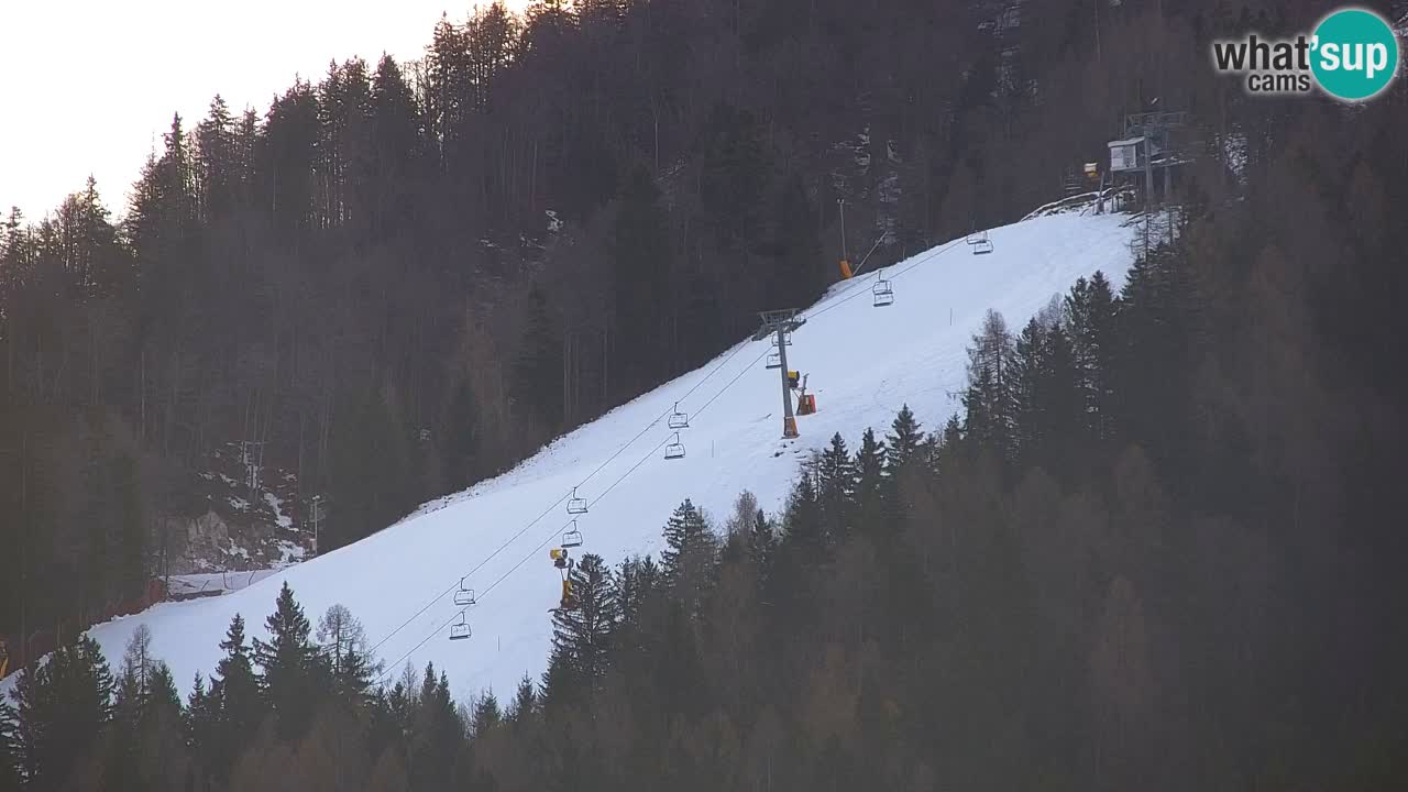 Ski Kranjska Gora | Velika Dolina