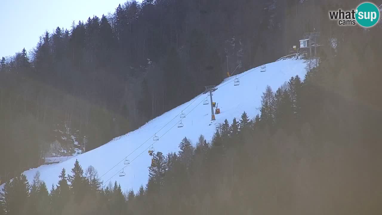 Ski Kranjska Gora | Velika Dolina