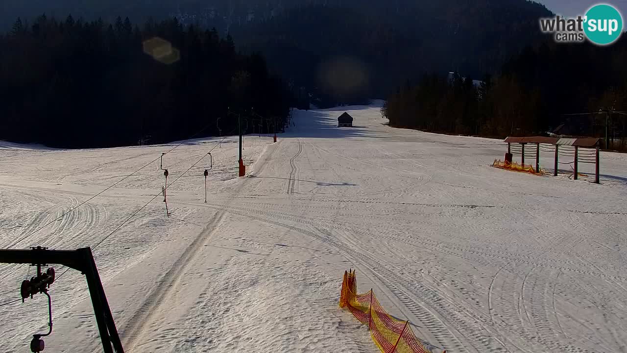 Skijanje Kranjska Gora | Velika Dolina