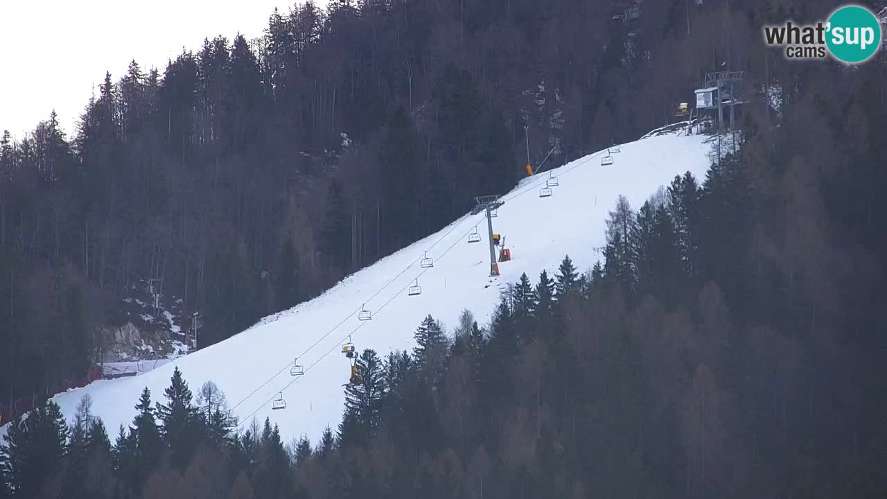 Skijanje Kranjska Gora | Velika Dolina