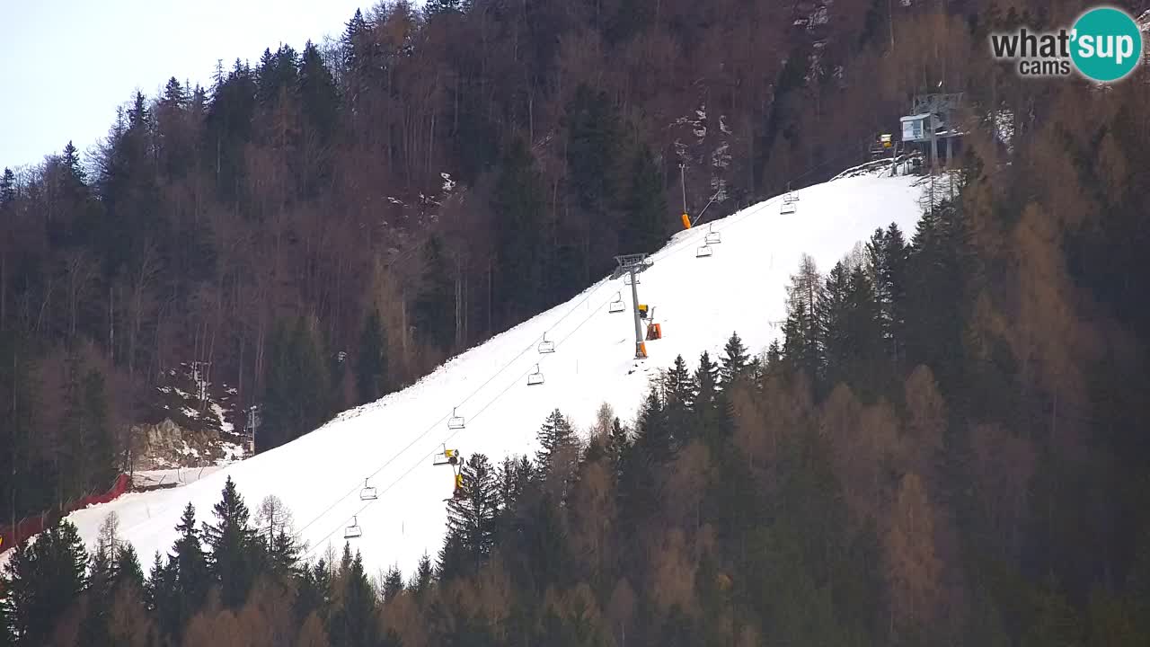 Kranjska Gora | Velika Dolina