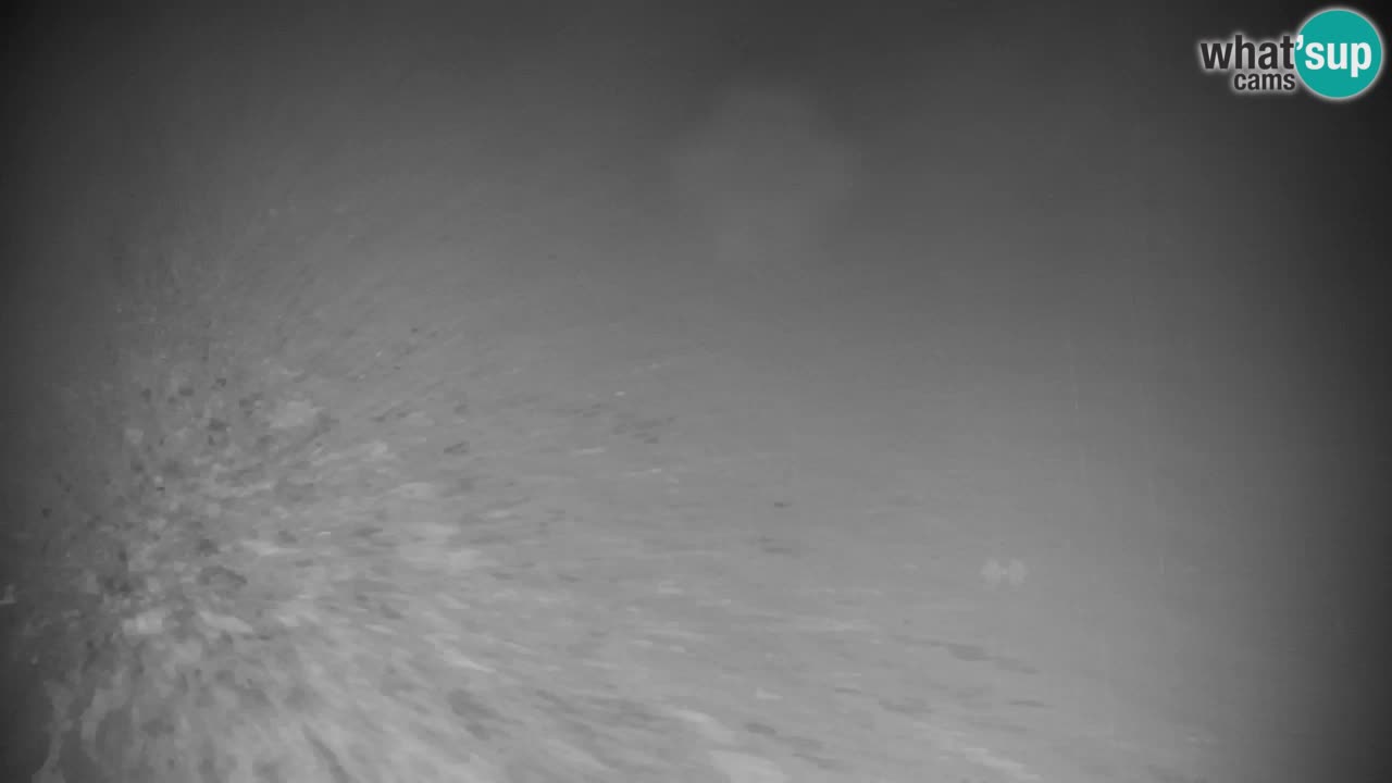 RTC Kranjska Gora | Velika Dolina