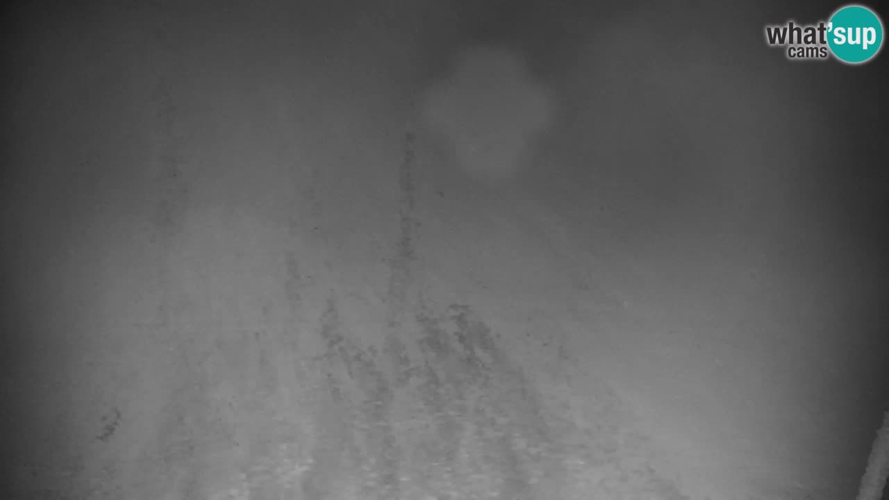 Ski Kranjska Gora | Velika Dolina