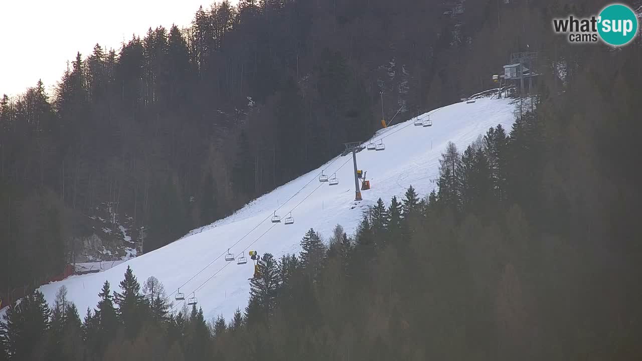 Skigebiet Kranjska Gora | Velika Dolina