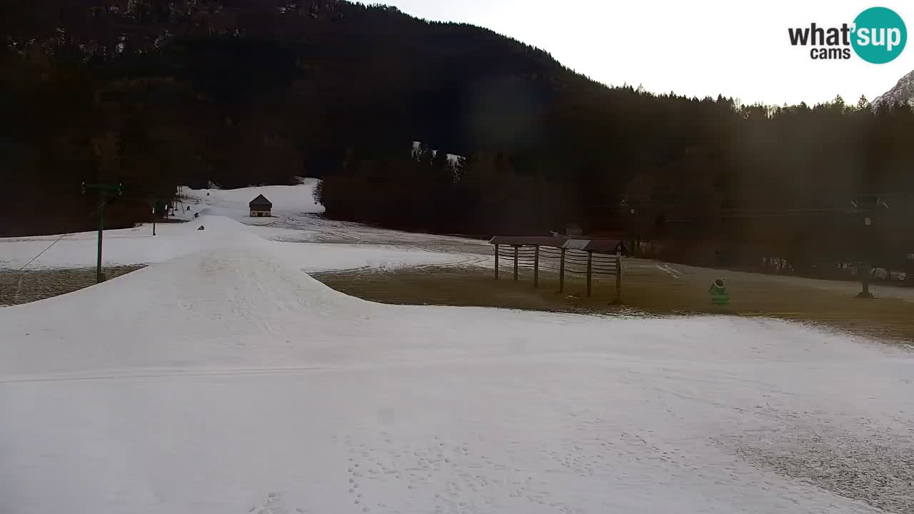 Skigebiet Kranjska Gora | Velika Dolina
