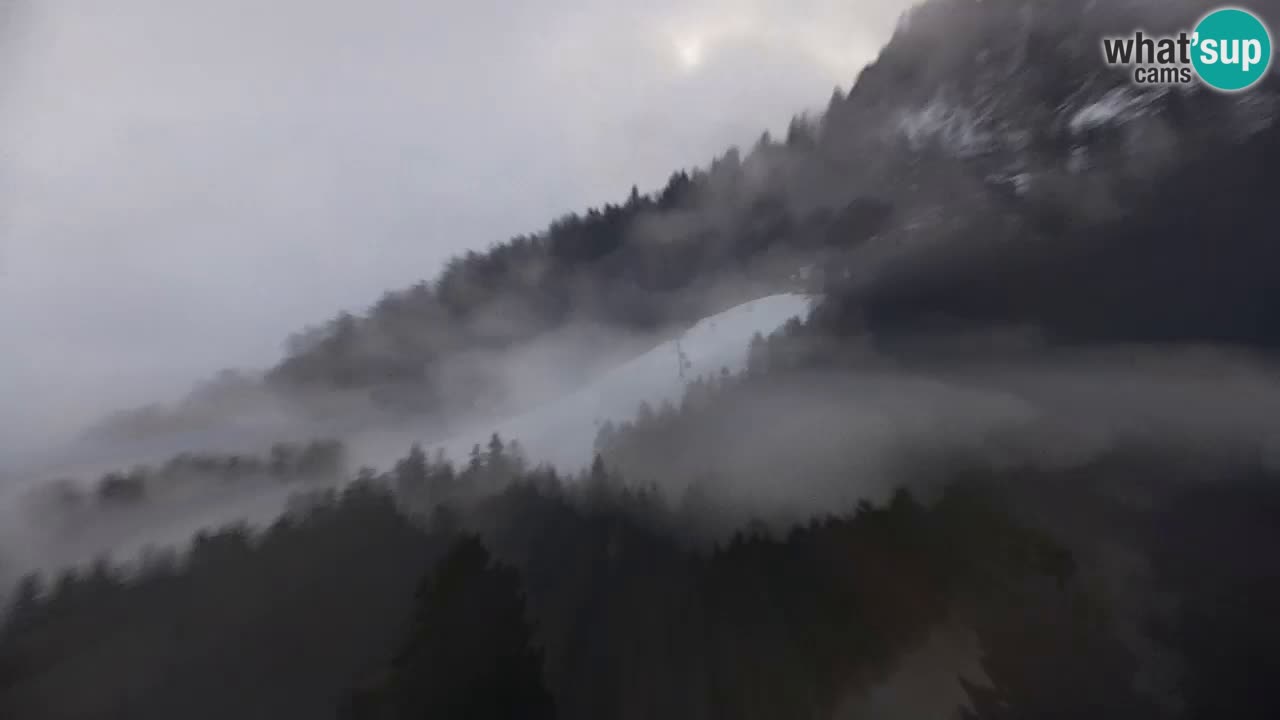 Ski Kranjska Gora | Velika Dolina