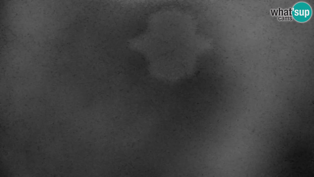 Skigebiet Kranjska Gora | Velika Dolina