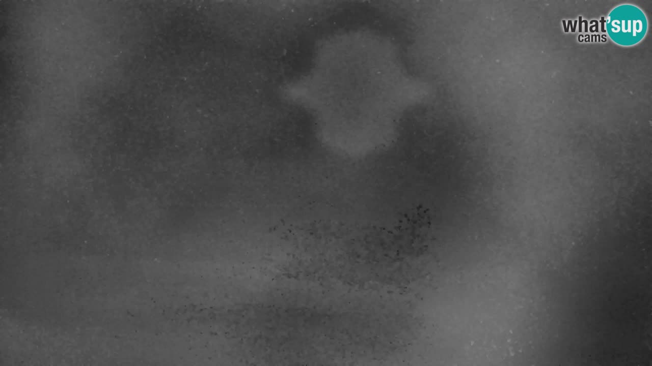 Ski Kranjska Gora | Velika Dolina