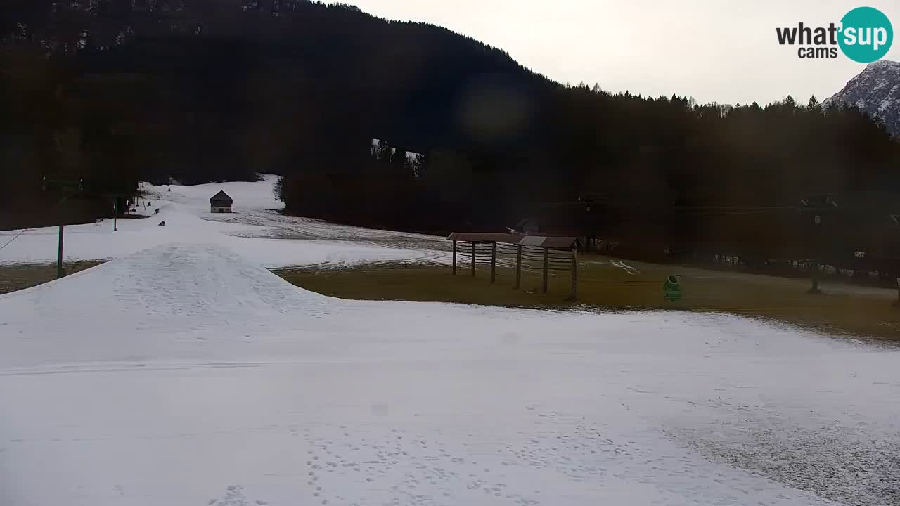Estación de esquí Kranjska Gora | Velika Dolina