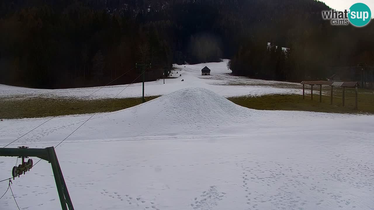 Skigebiet Kranjska Gora | Velika Dolina