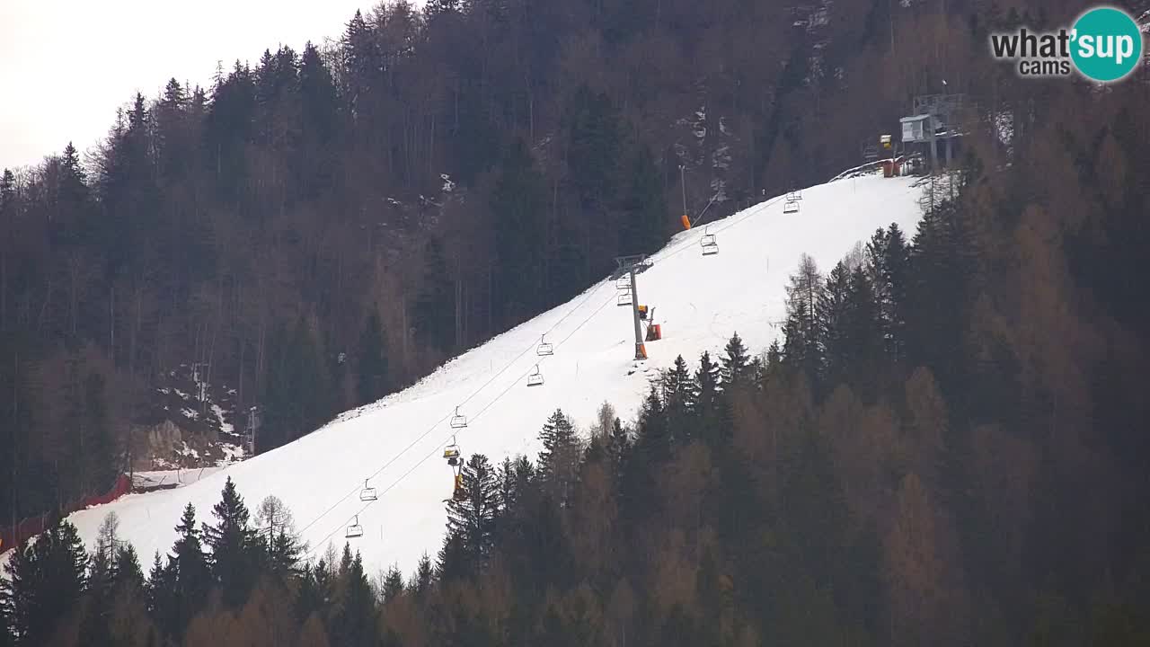Station de ski Kranjska Gora | Velika Dolina