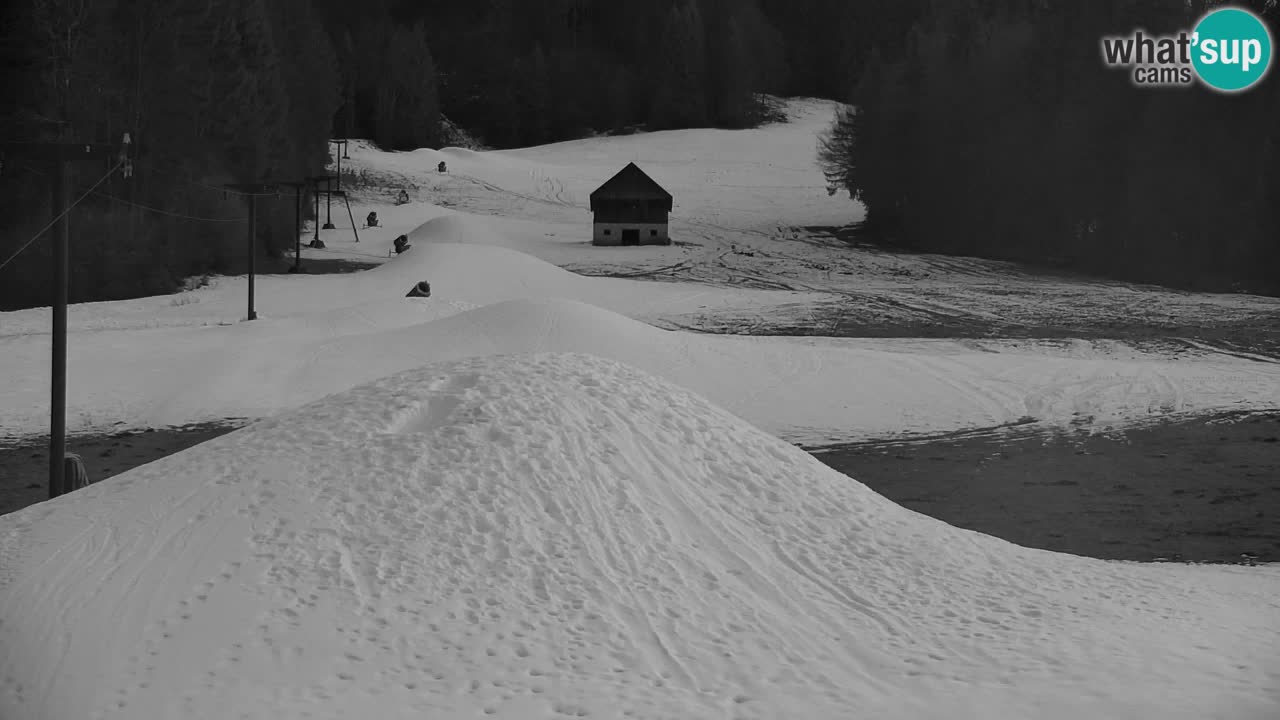 Station de ski Kranjska Gora | Velika Dolina