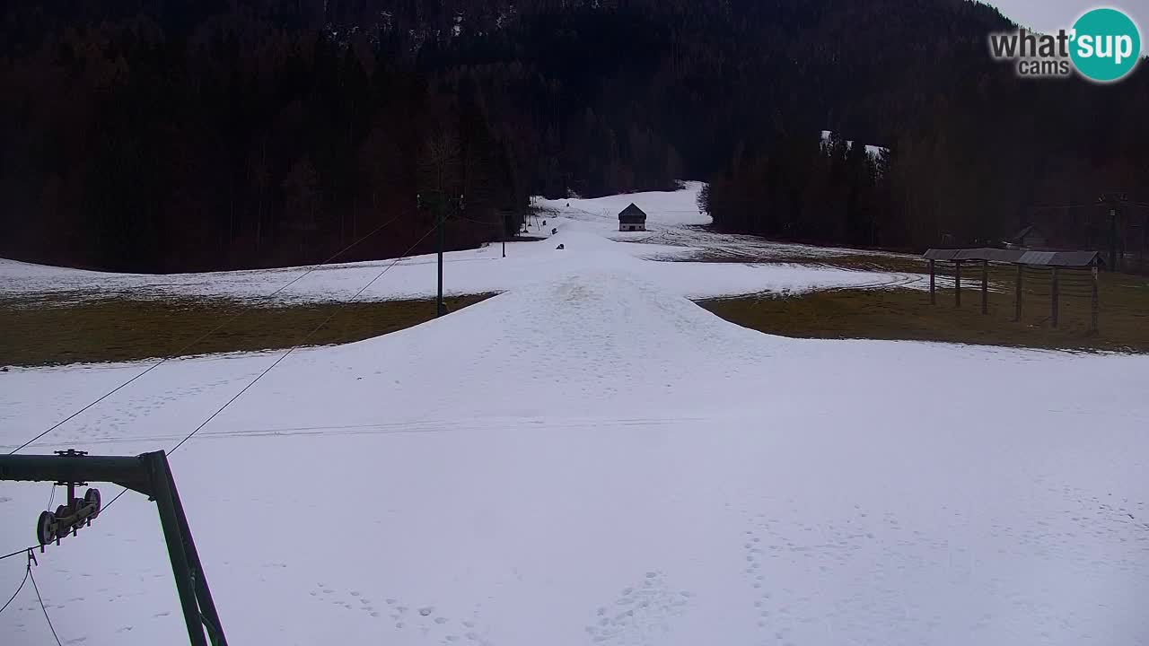 Ski Kranjska Gora | Velika Dolina